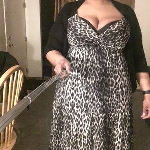 Long, tan brown black spring/summer